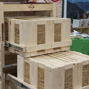 32. Apisticus-Tag in Münster