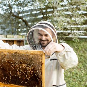 beekeeper-working-on-the-apiary-WAKQV3P.jpg